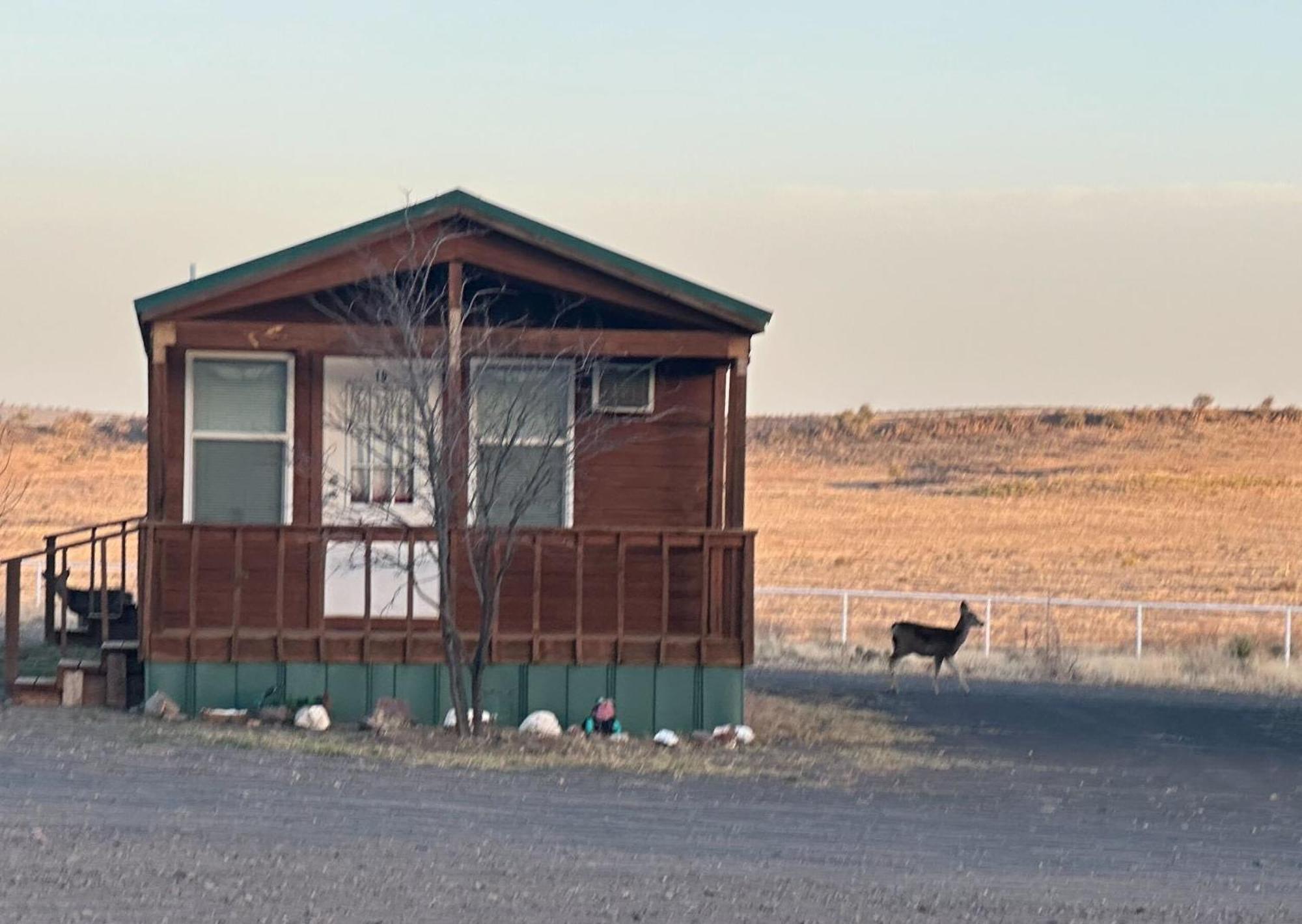 Mountain View Lodge Fort Davis Exterior foto
